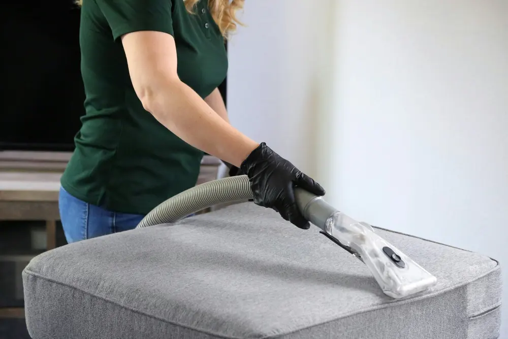 Profissional de luvas higienizando um estofado com extratora